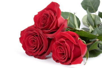Beautiful bouquet of roses