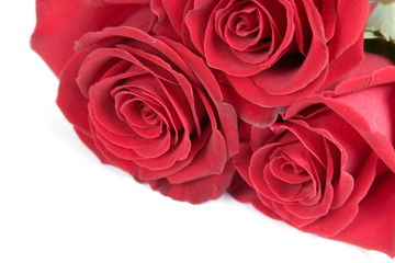 Beautiful bouquet of roses