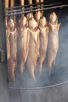 wędzone makrele