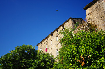 Corse, rapace sur villlage de montagne
