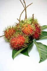 rambutan fruit,thailand
