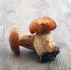 porcini freschi