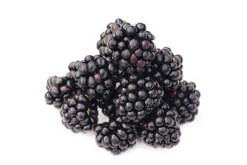 closeup of balackberry on white