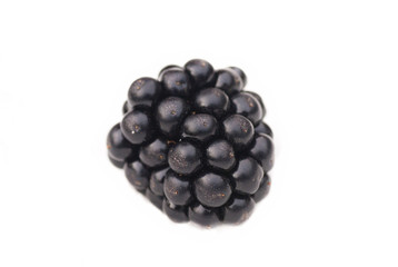 closeup of balackberry on white