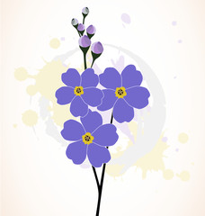 Ilustration of the beautiful forget-me-not flowers
