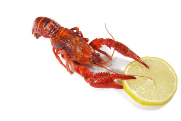 Crawfish with lemon