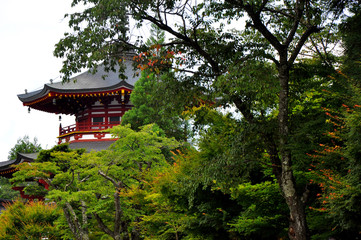 Fototapeta premium pagode