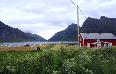 Wieś w norwegii © anilah