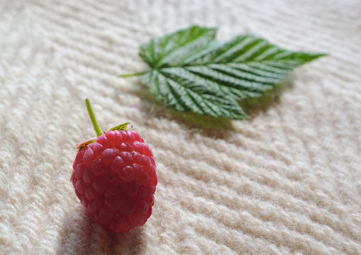 Raspberry and a leaf.