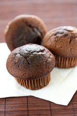 tasty chocolate muffin