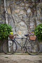 Fototapeta na wymiar Vintage rower z kiści kwiatów
