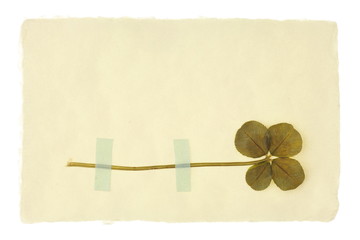 four-leaf clover