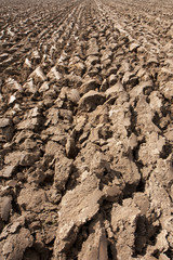 Ploughed field