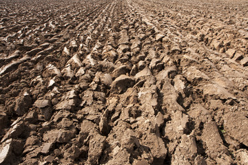 Ploughed field