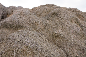 Heap of straw
