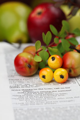 Thanksgiving arrangement with Bible open at 1 Chronicles 16:8