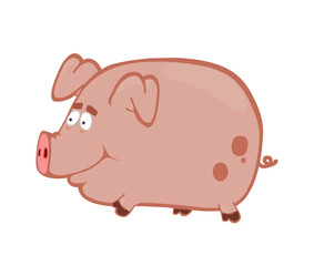 Cute cartoon pig