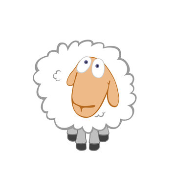 Kind innocent sheep