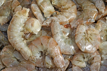 fresh shrimp