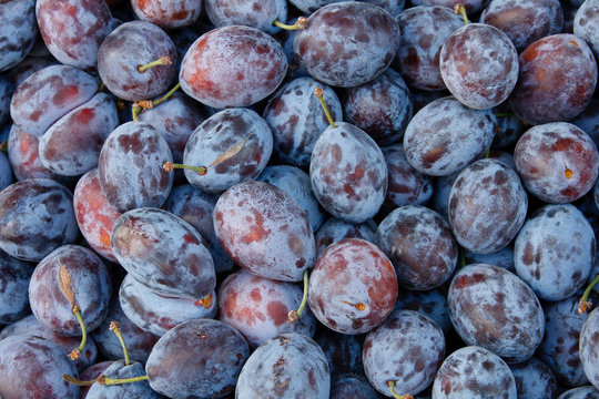 Tasty organic plums at local market