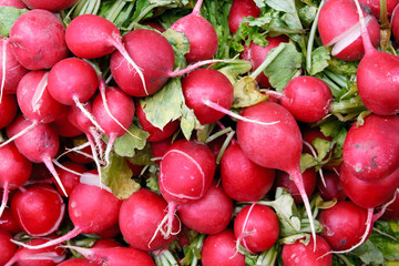 Tasty organic radish at local market