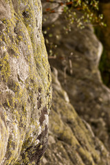 Bledne skaly - stone labirynth in Poland