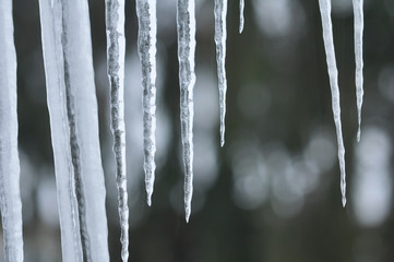 winter 7