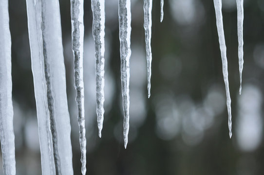 winter 7