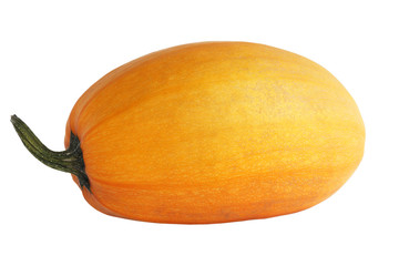 oblong pumpkin