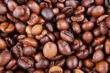 coffee beans close up