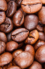 coffee beans close up