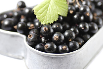 Black currants