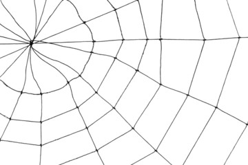 Spider Web