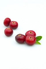 Ripe cranberry