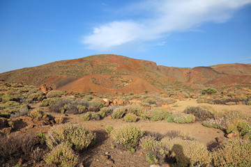 Fototapeta na wymiar Wulkaniczny krajobraz z wulkanu El Teide, Teneryfa, Kanaryjskich.
