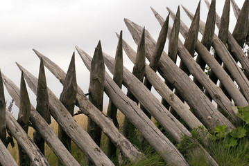 Close-up palisades