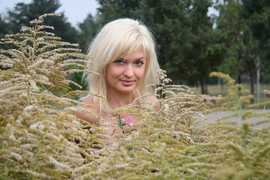 красивая девушка в высокой траве