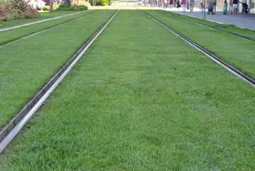 Rails of tram, Nice, France