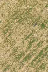 abstract background of a cement flooring
