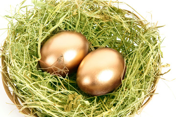 Two golden hen's eggs in the grassy nest isolated on white