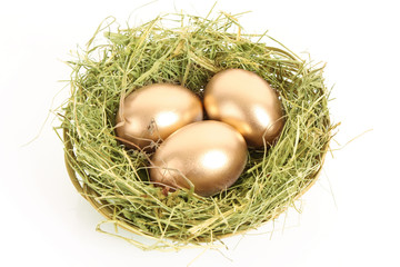 Three golden hen's eggs in the grassy nest isolated on white