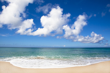 Fototapeta na wymiar Beautiful beach of Pacific ocean island