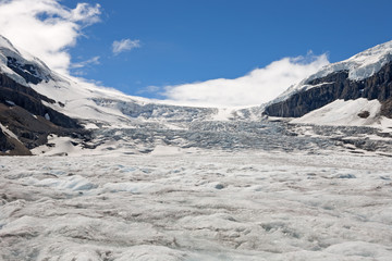 Obraz premium Athabasca Glacier in the Canadian Rockies