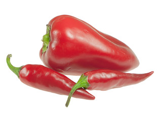 Red pepper close-up isolated on white background