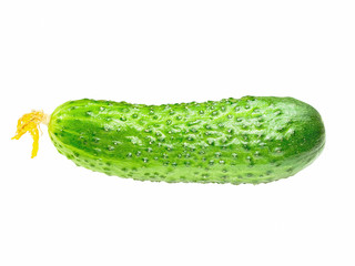 Green cucumber