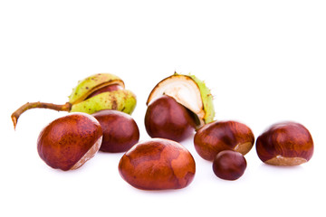 Chestnuts on white background