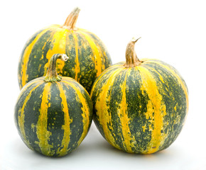 Pumpkins Isolated on a White Background