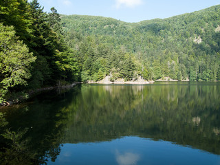 Lac et reflets dans les vosges
