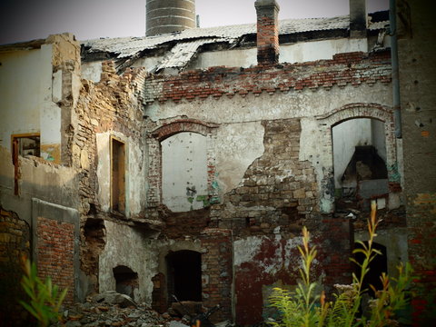 Fototapeta rudera