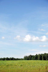 Fototapeta premium sky and clouds